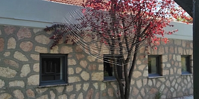 EVLERİMİZ
